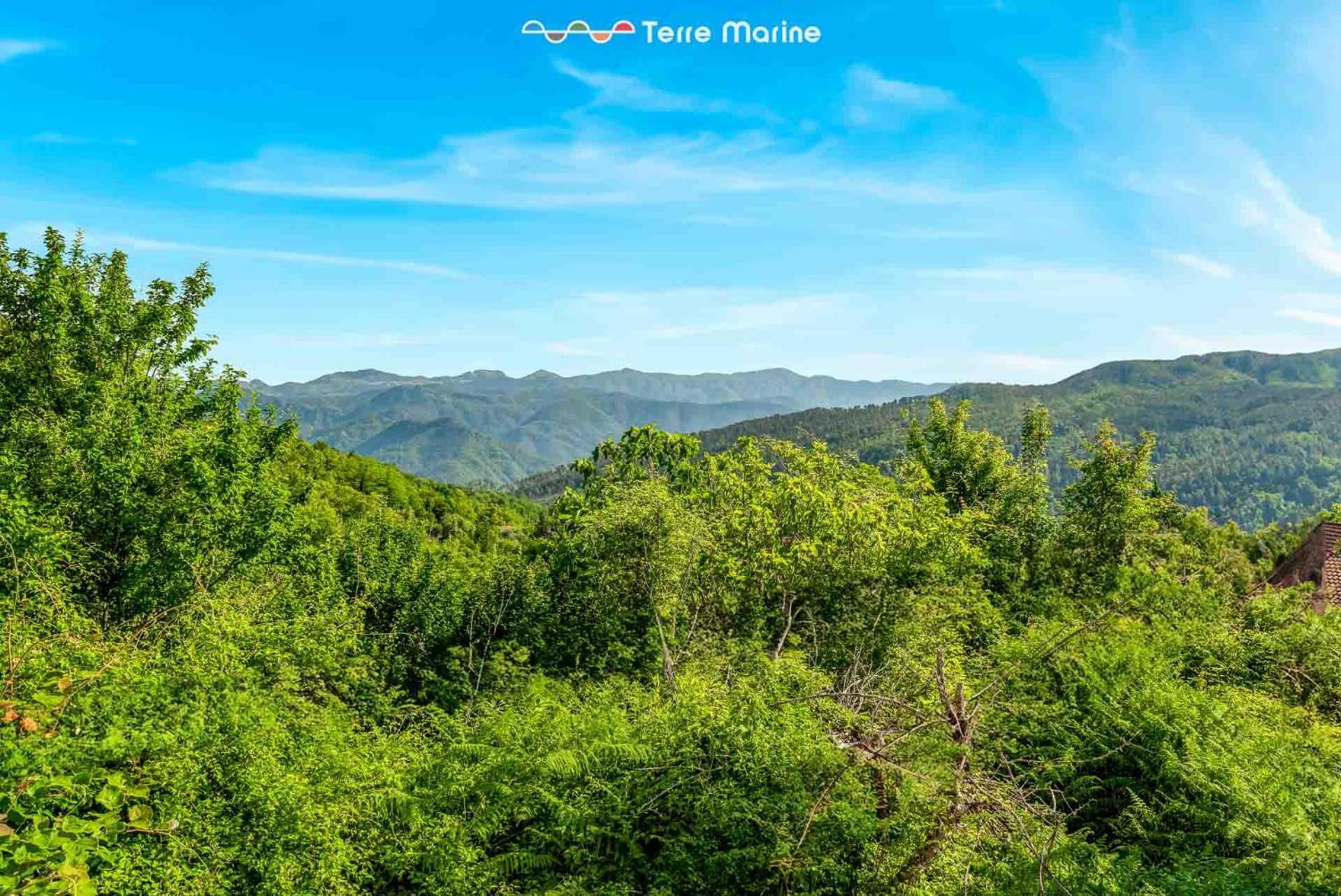 Villa Pina Riccò del Golfo di Spezia Buitenkant foto